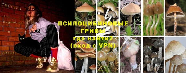 кристаллы Алексеевка