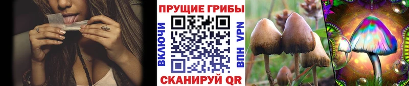как найти закладки  мега онион  Галлюциногенные грибы мухоморы  Истра 